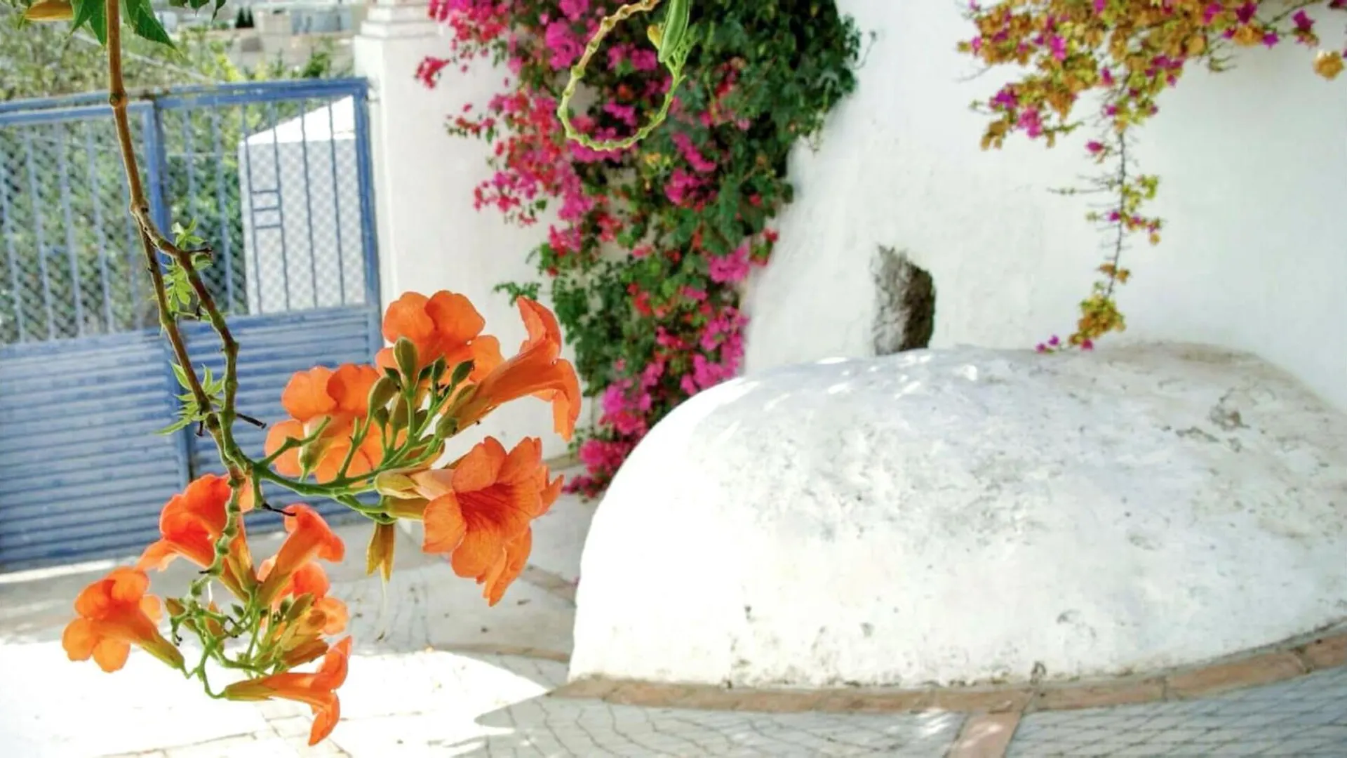 Villa Cortijo El Grillo Níjar 0*,